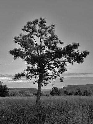 Прикрепленное изображение: P9084038_web.jpg